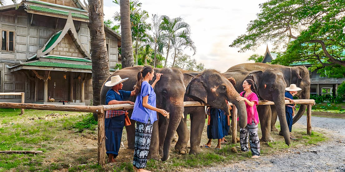 Parque de elefantes de Bangkok