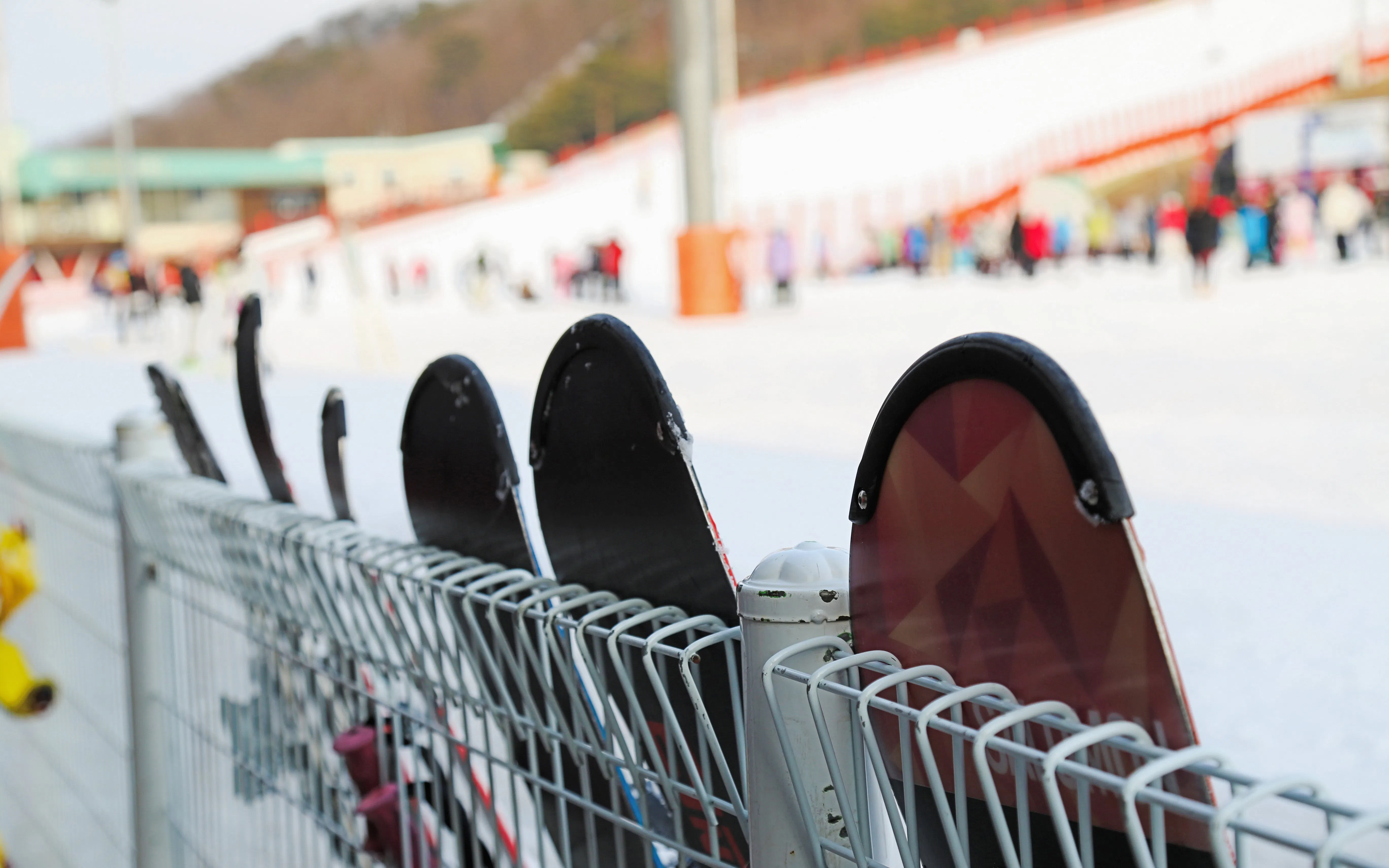 Skis lined up at Vivaldi Park Ski World, Hongcheon, South Korea.