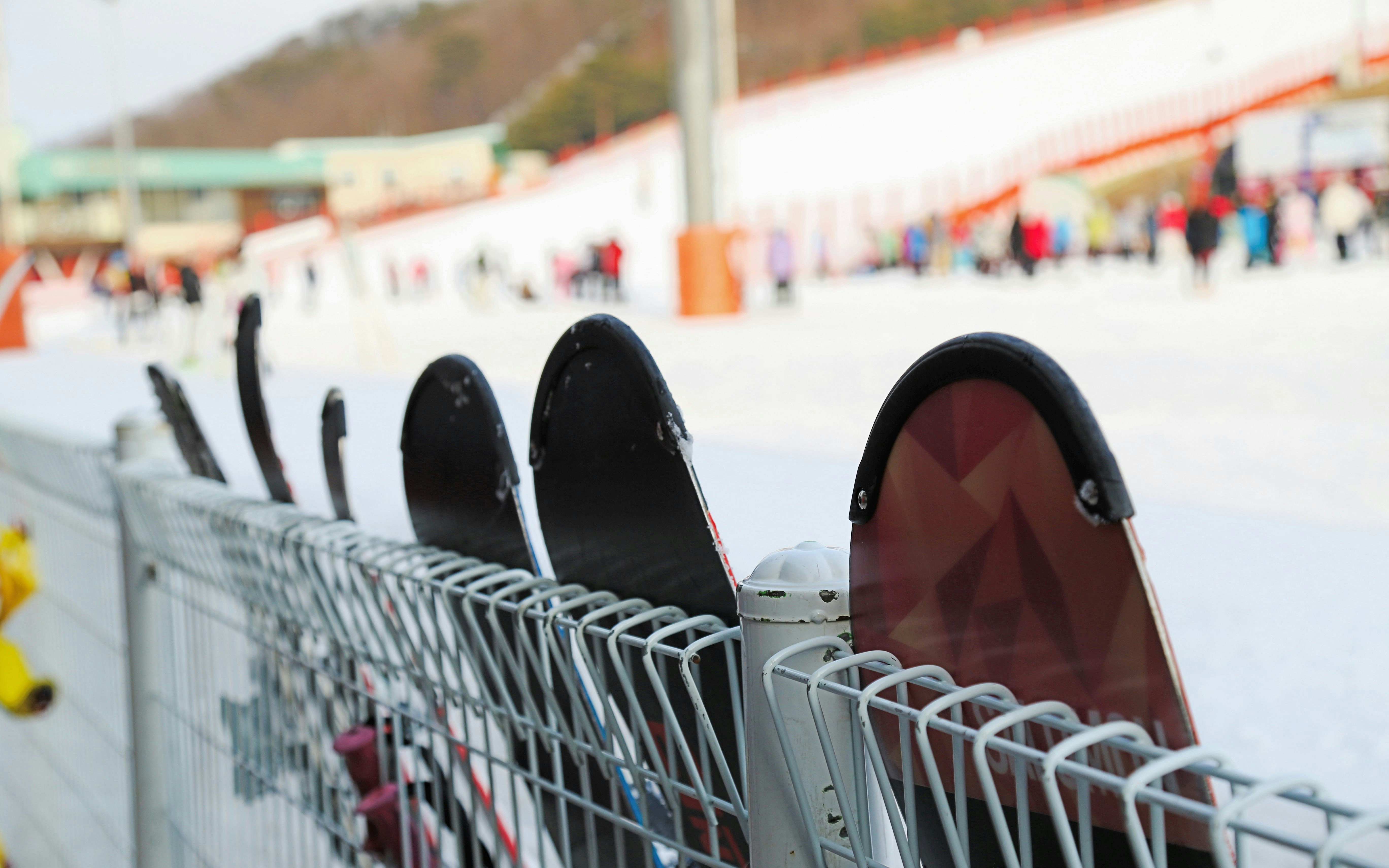 Skis lined up at Vivaldi Park Ski World, Hongcheon, South Korea.