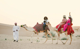 Camel safari in Doha desert with riders and guide.