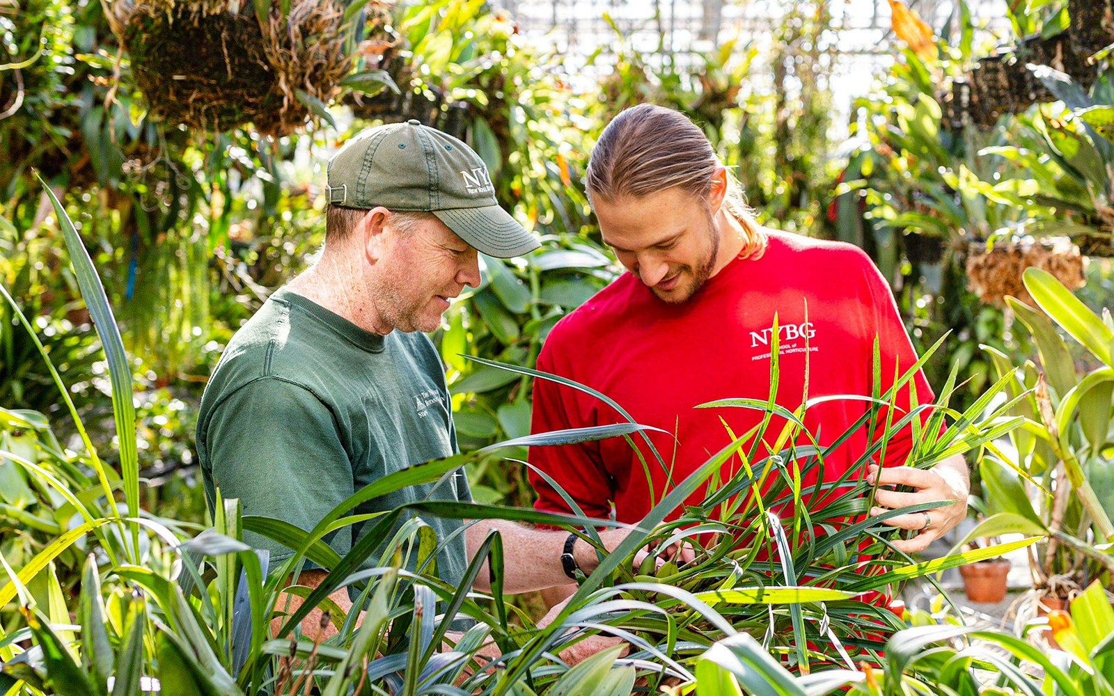 Horticultural programs at New York Botanical Garden