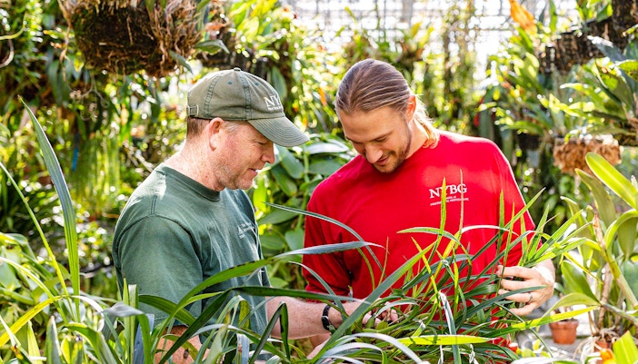 New York Botanical Garden vibrant flower display in Bronx, New York.