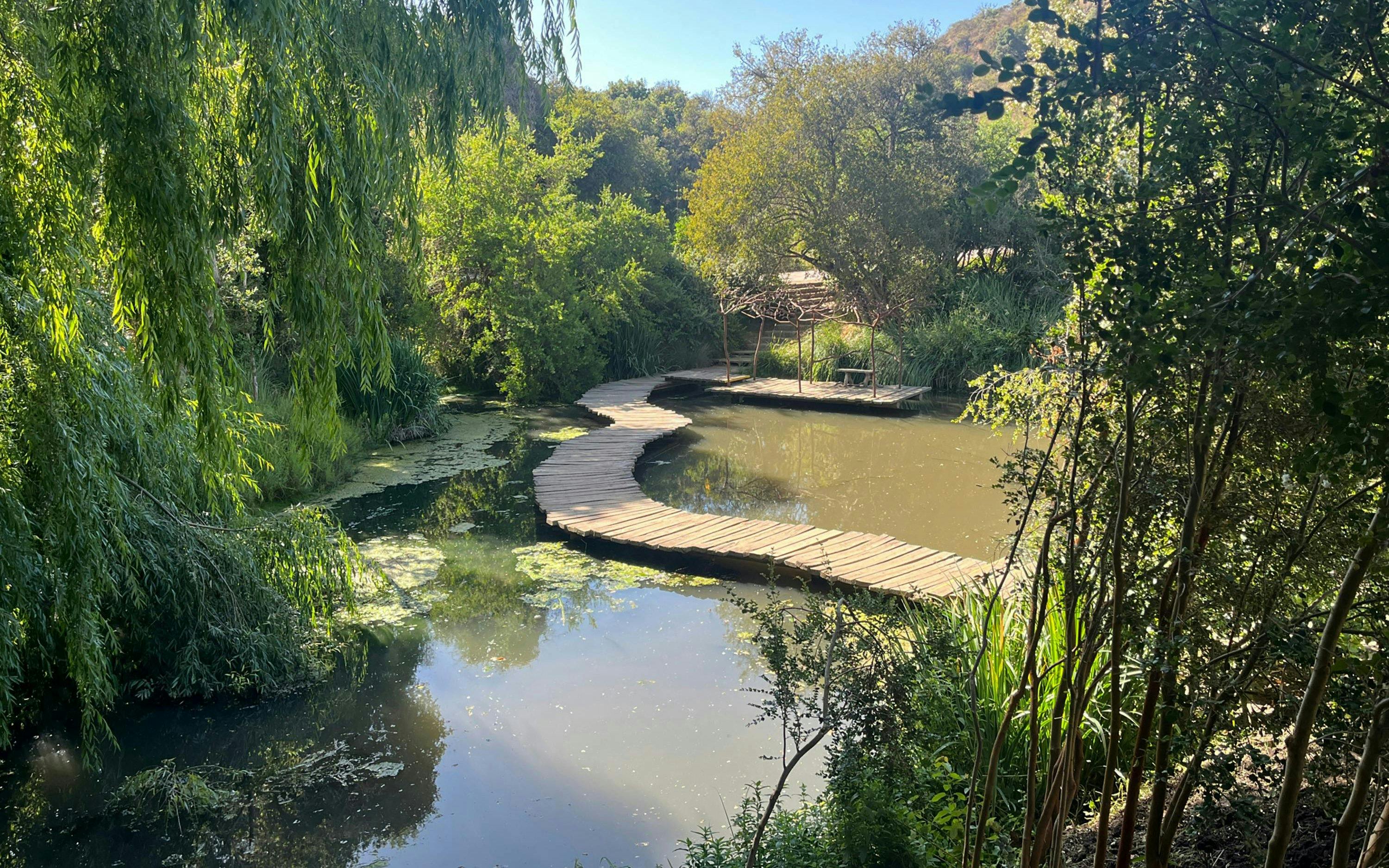 Wooden bridge over pond surrounded by lush greenery at Parque Tricao.
