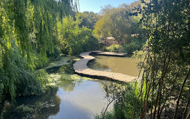 Wooden bridge over pond surrounded by lush greenery at Parque Tricao.