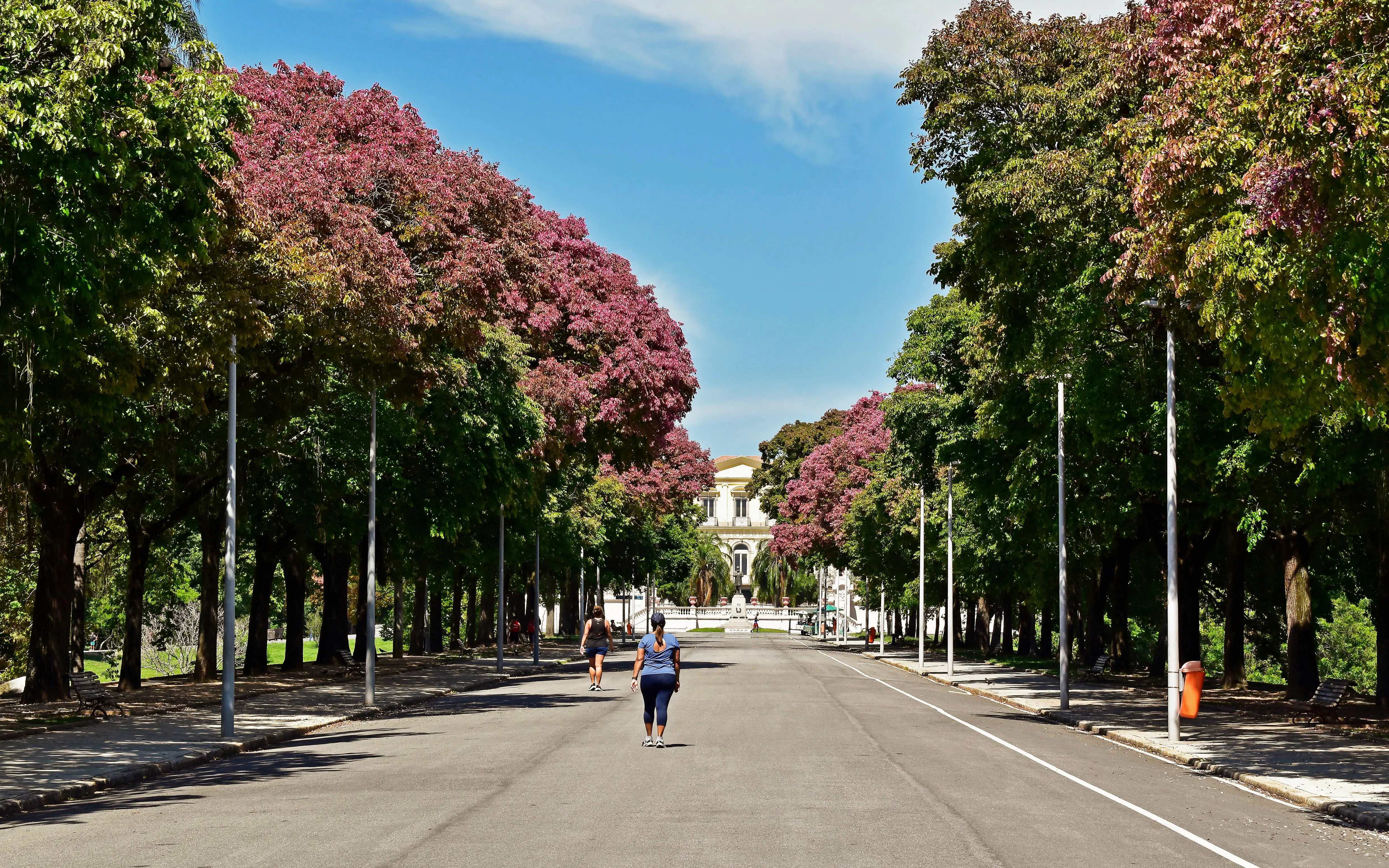 Pathway lined with trees leading to a historic building in Quinta da Boa Vista, Rio de Janeiro.