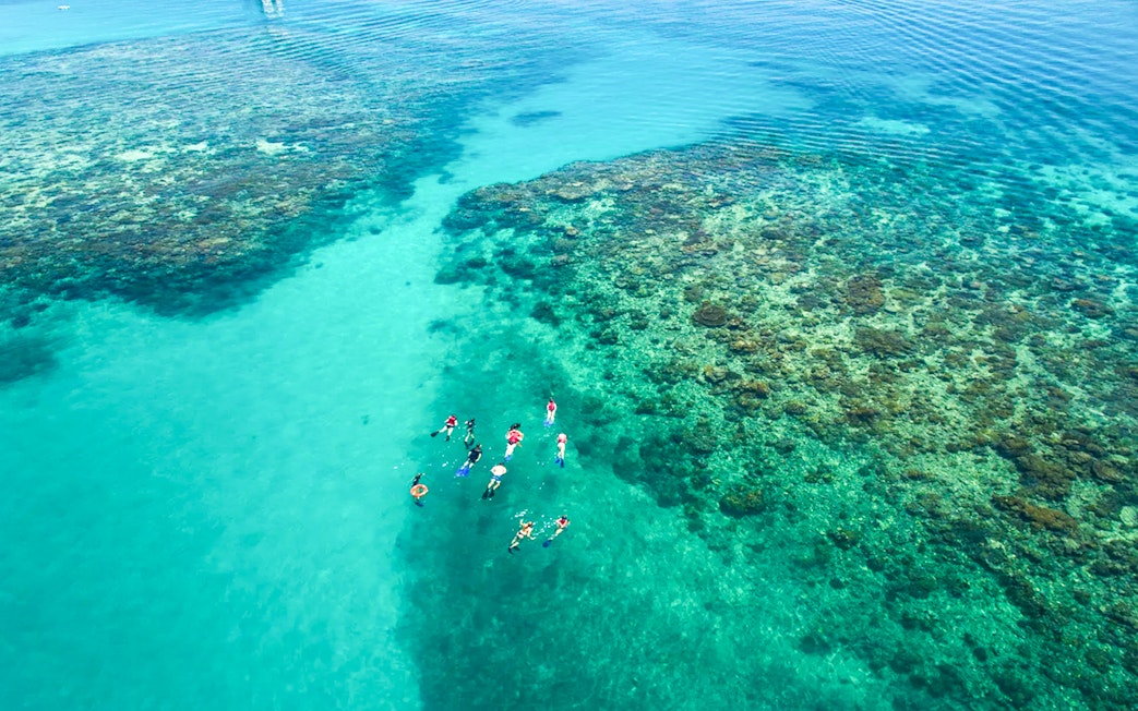 Snorkelers exploring coral reefs at Wonder Wall, Green Island.