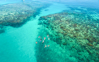 Snorkelers exploring coral reefs at Wonder Wall, Green Island.