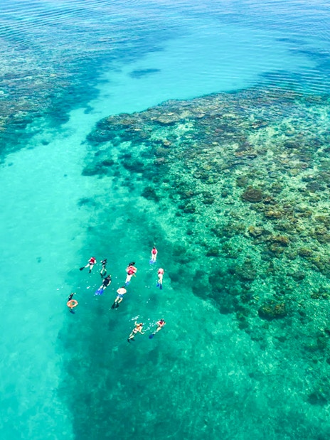 Snorkelers exploring coral reefs at Wonder Wall, Green Island.