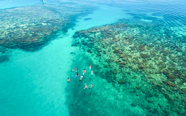 Snorkelers exploring coral reefs at Wonder Wall, Green Island.