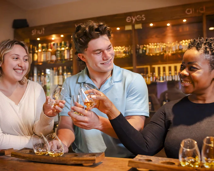 Irish Whiskey Museum - Premium Tour