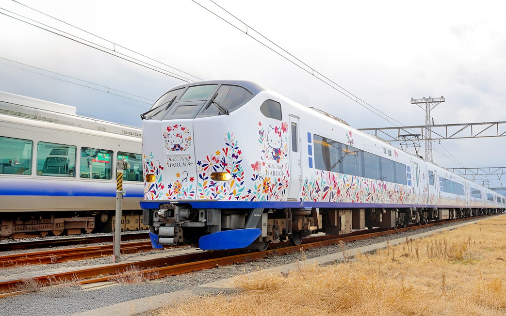 JR Haruka Airport Express train with floral design at station.