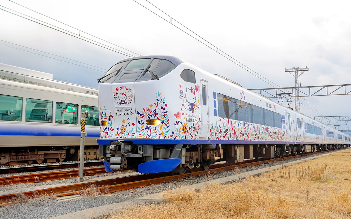 JR Haruka Airport Express train with floral design at station.