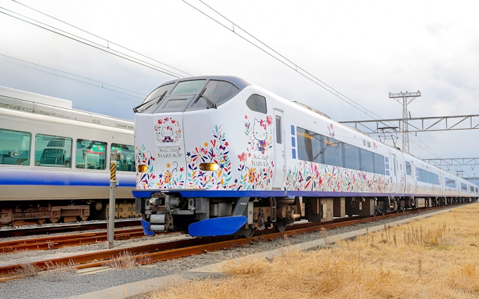 JR Haruka Airport Express train with floral design at station.
