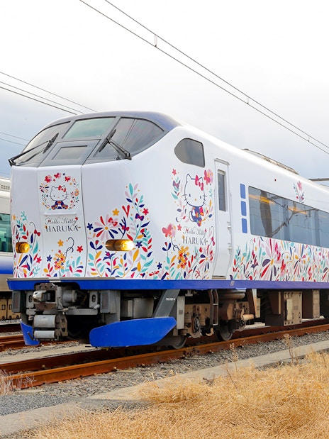 JR Haruka Airport Express train with floral design at station.