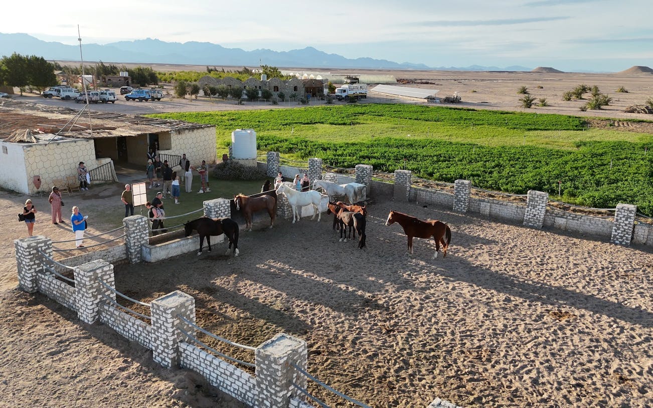 premium sternbeobachtung, jeep-tour, beduinen-abendessen und kamelreiten - hurghada-5