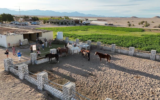 premium sternbeobachtung, jeep-tour, beduinen-abendessen und kamelreiten - hurghada-5