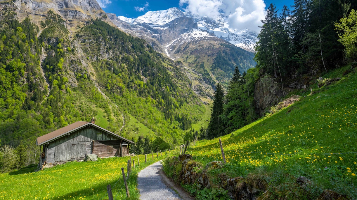 Jungfraujoch Plan Your Visit