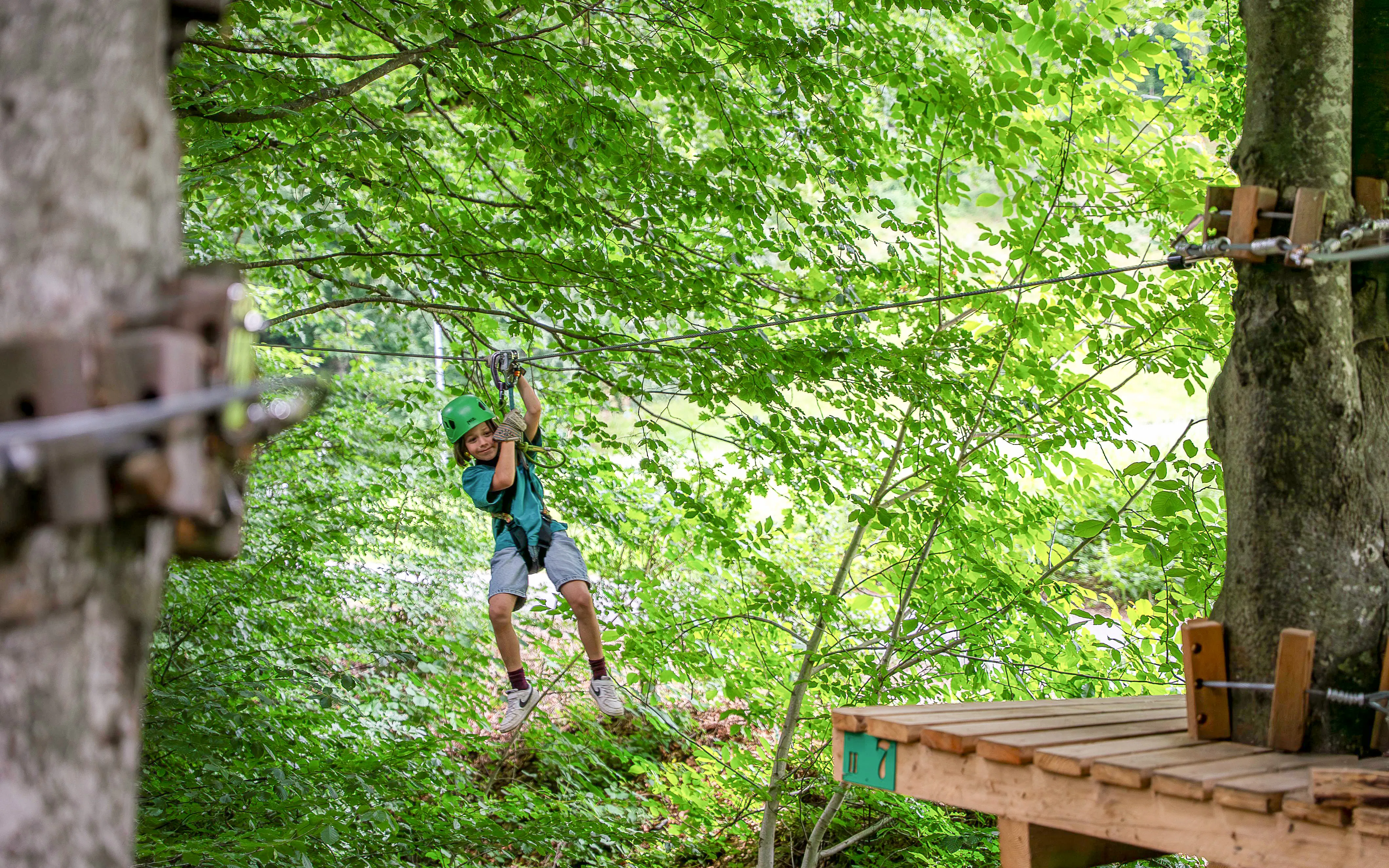 Child ziplining through trees at Ropes Park Interlaken.