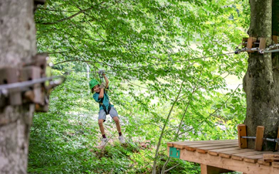 Child ziplining through trees at Ropes Park Interlaken.