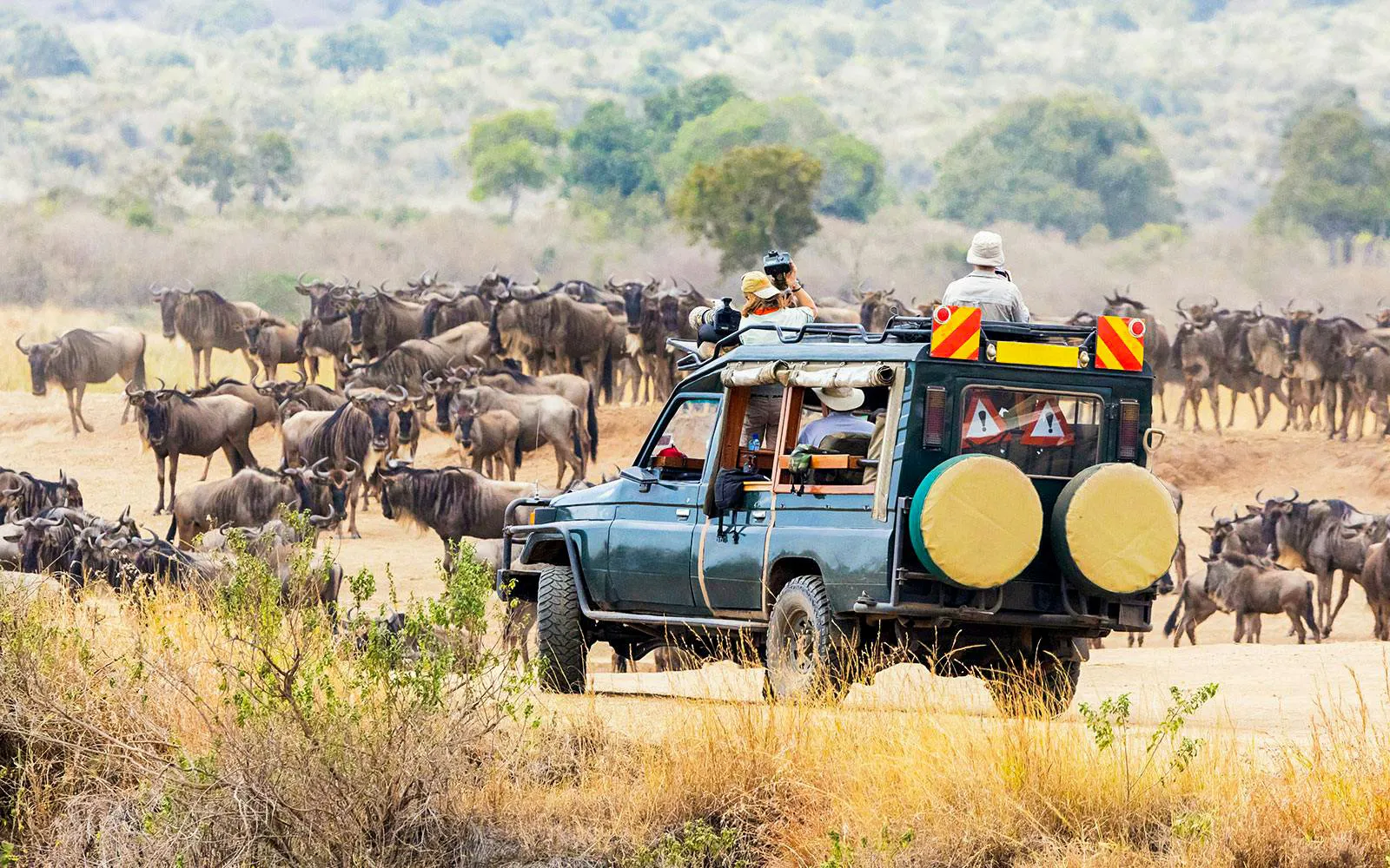 Safari por la tarde