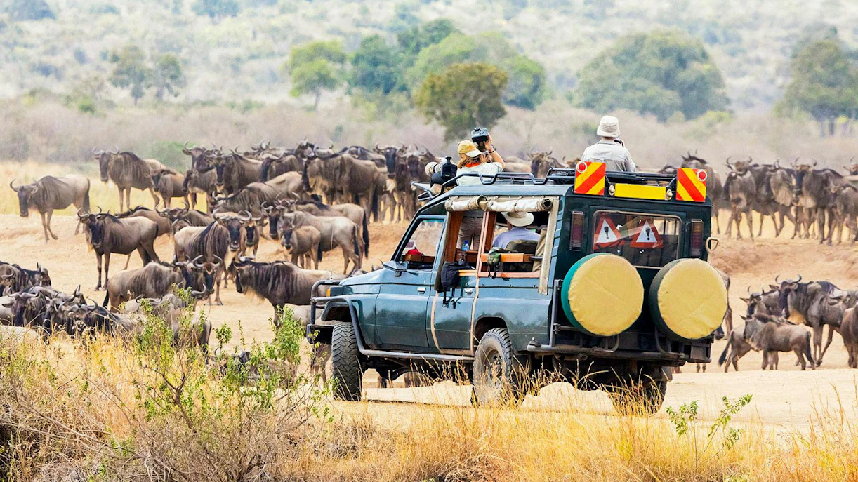 Photographers capturing wildebeest migration from a safari vehicle in Masai Mara, Kenya.