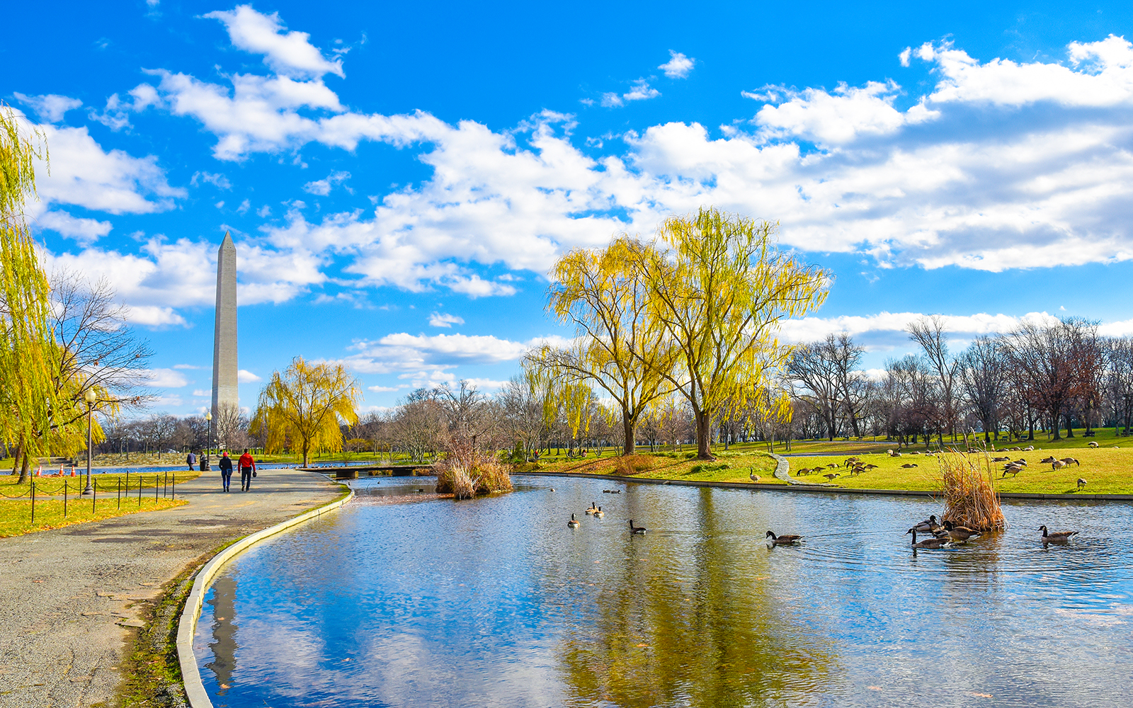 Jardines de la Constitución
