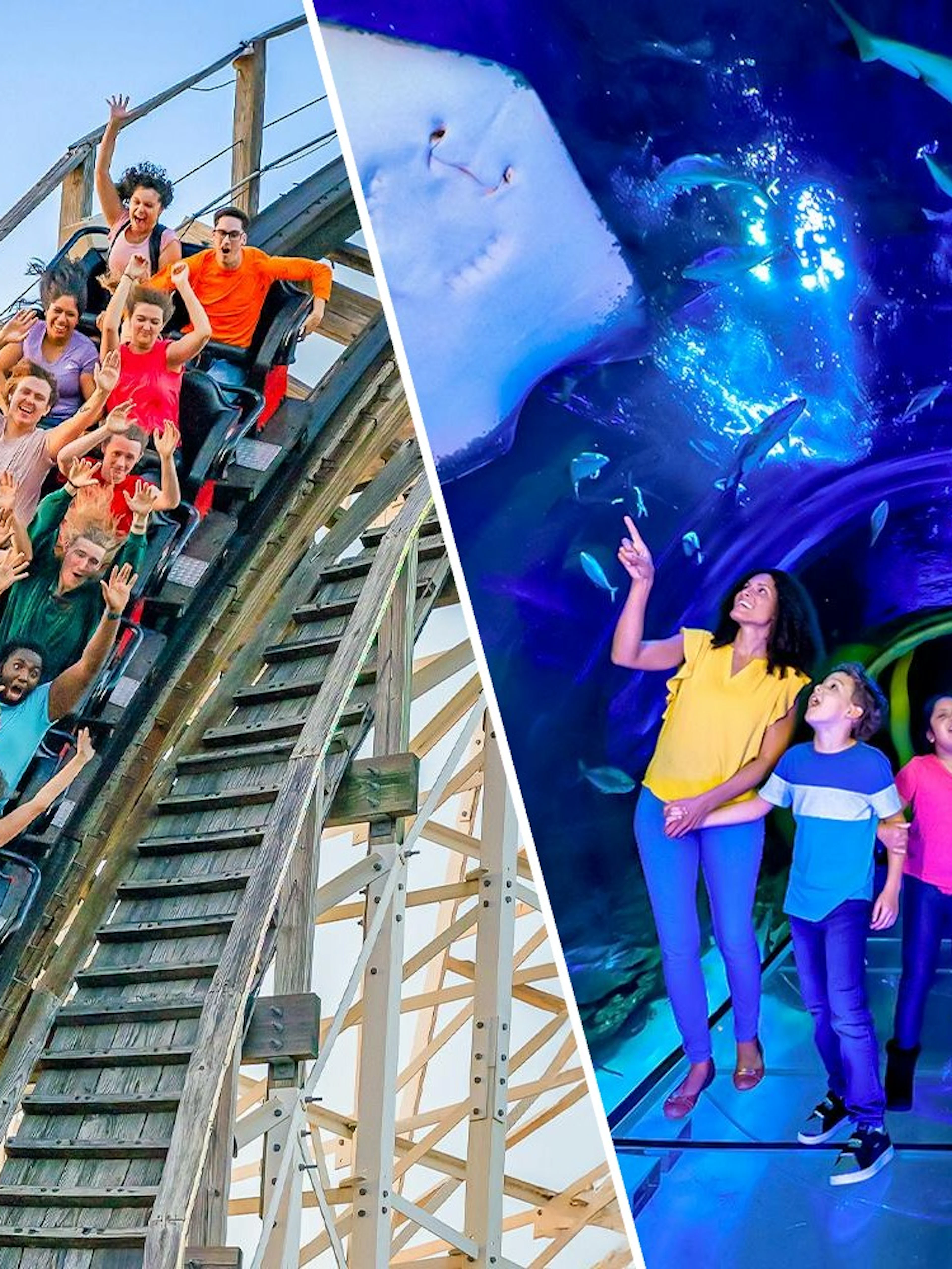People enjoying a rollercoaster at Fun Spot America, Orlando, and exploring the 360 Tunnel at Sea Life Orlando.