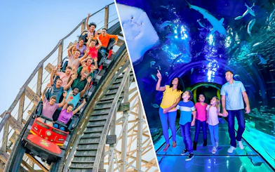 People enjoying a rollercoaster at Fun Spot America, Orlando, and exploring the 360 Tunnel at Sea Life Orlando.