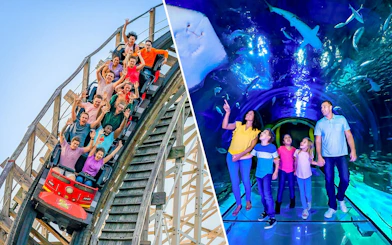 People enjoying a rollercoaster at Fun Spot America, Orlando, and exploring the 360 Tunnel at Sea Life Orlando.