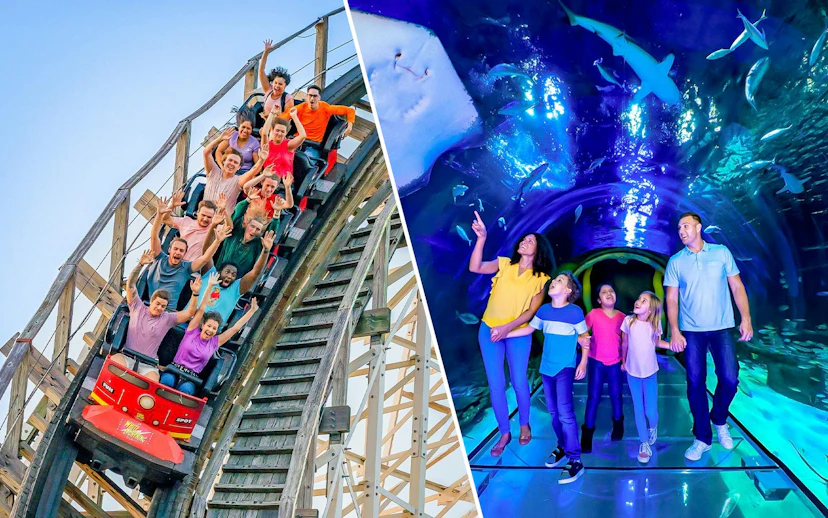 People enjoying a rollercoaster at Fun Spot America, Orlando, and exploring the 360 Tunnel at Sea Life Orlando.