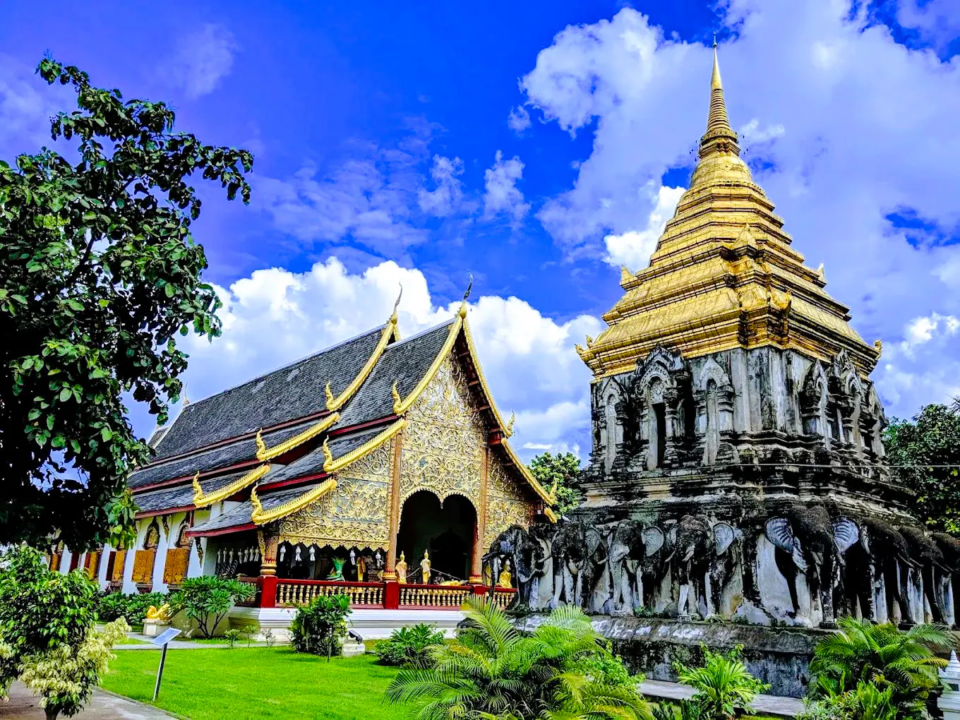 vandretur i chiang mai for litte grupper-6