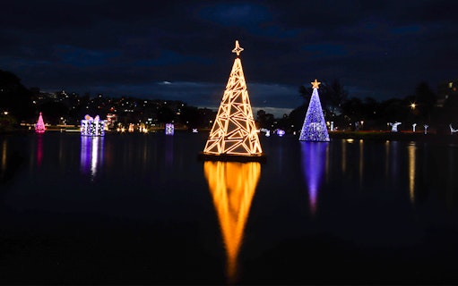 Singapore Christmas light display with illuminated trees reflecting on water.