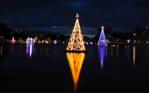 Singapore Christmas light display with illuminated trees reflecting on water.