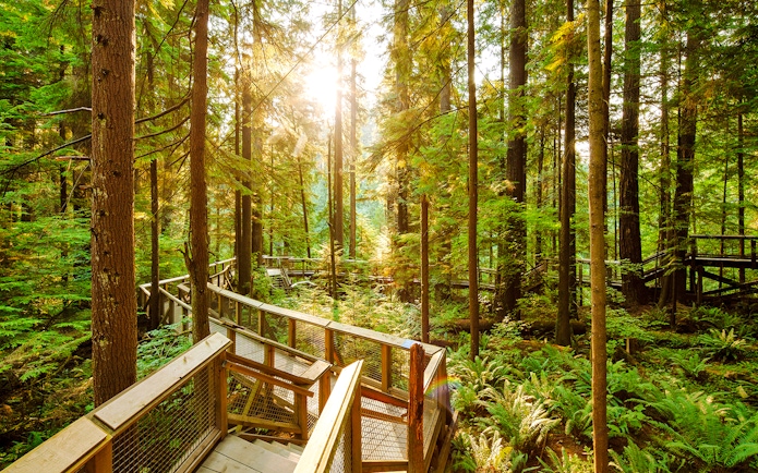 Walkway through lush forest at Capilano Suspension Bridge Park, Vancouver.