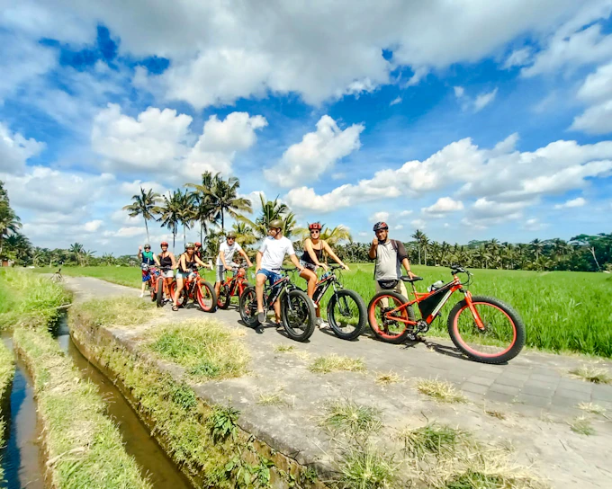 Ubud E-Bike Guided Tour to Tegallalang Rice Terraces