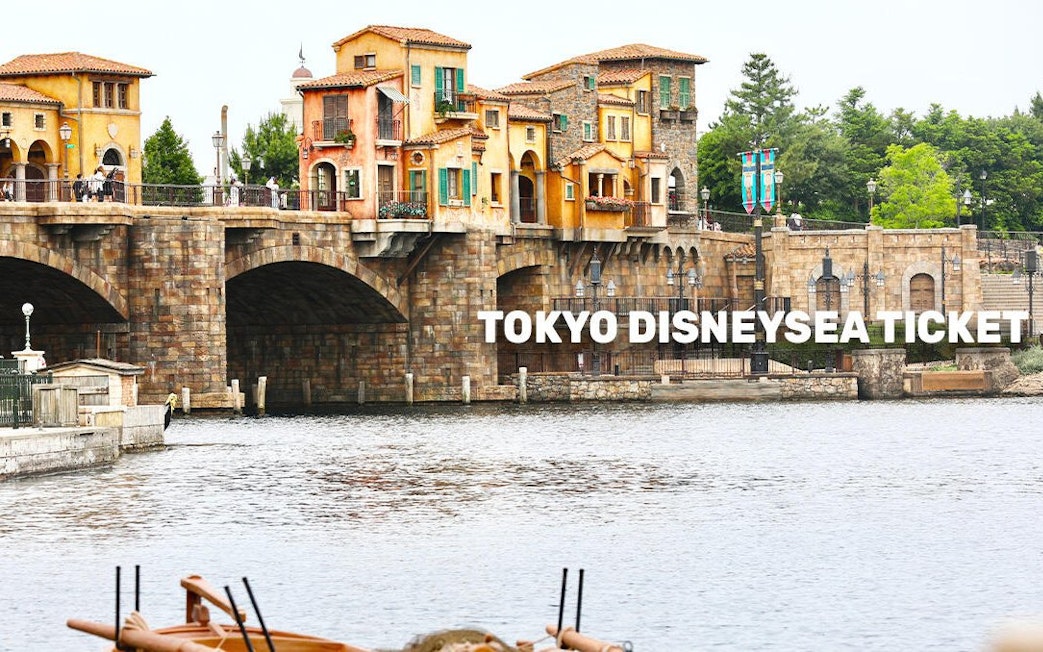 Tokyo DisneySea Mediterranean Harbor with colorful buildings and bridge.