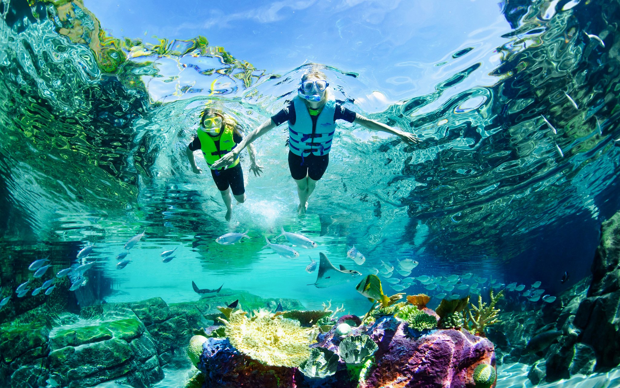 Guests snorkeling among corals and fish at Discovery Cove Orlando.