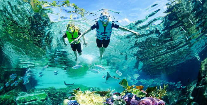 Guests snorkeling among corals and fish at Discovery Cove Orlando.