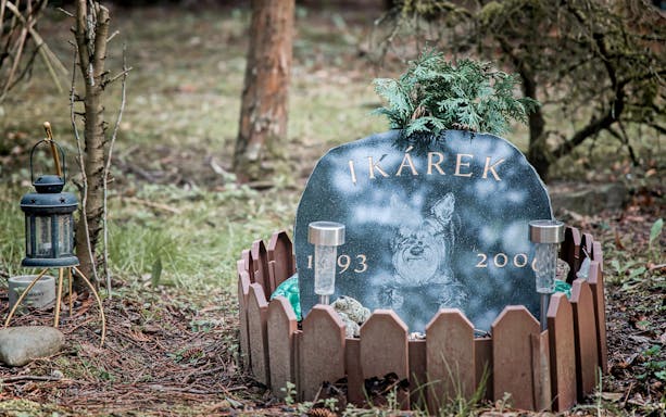 Gravestone in Bohnice Psychiatric Hospital cemetery, Prague, with lantern nearby.