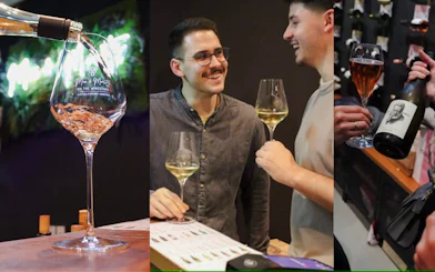 Munich Guided Tasting: 4 South African Wines