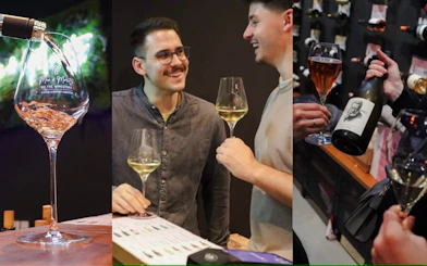 Munich Guided Tasting: 4 South African Wines