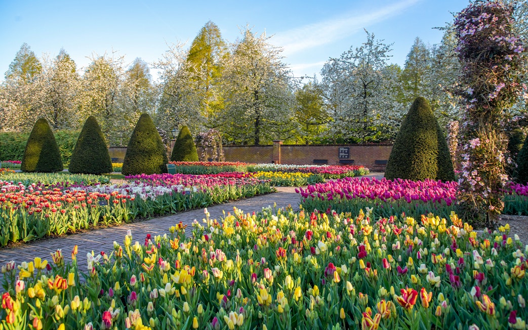 Tulip gardens in bloom at Keukenhof Gardens, Netherlands.