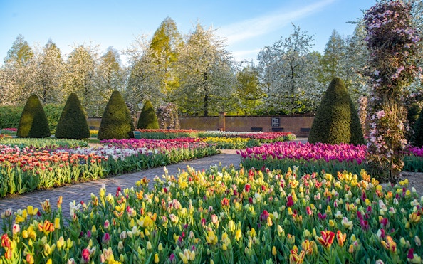 Tulip gardens in bloom at Keukenhof Gardens, Netherlands.