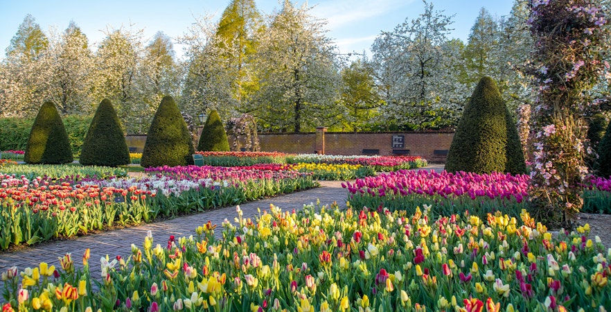 Keukenhof Tour