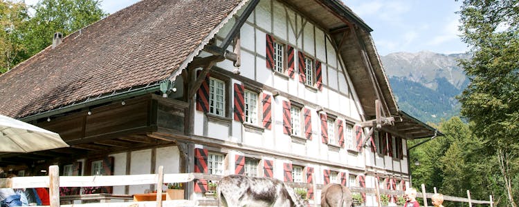 Ballenberg Swiss Open-Air Museum