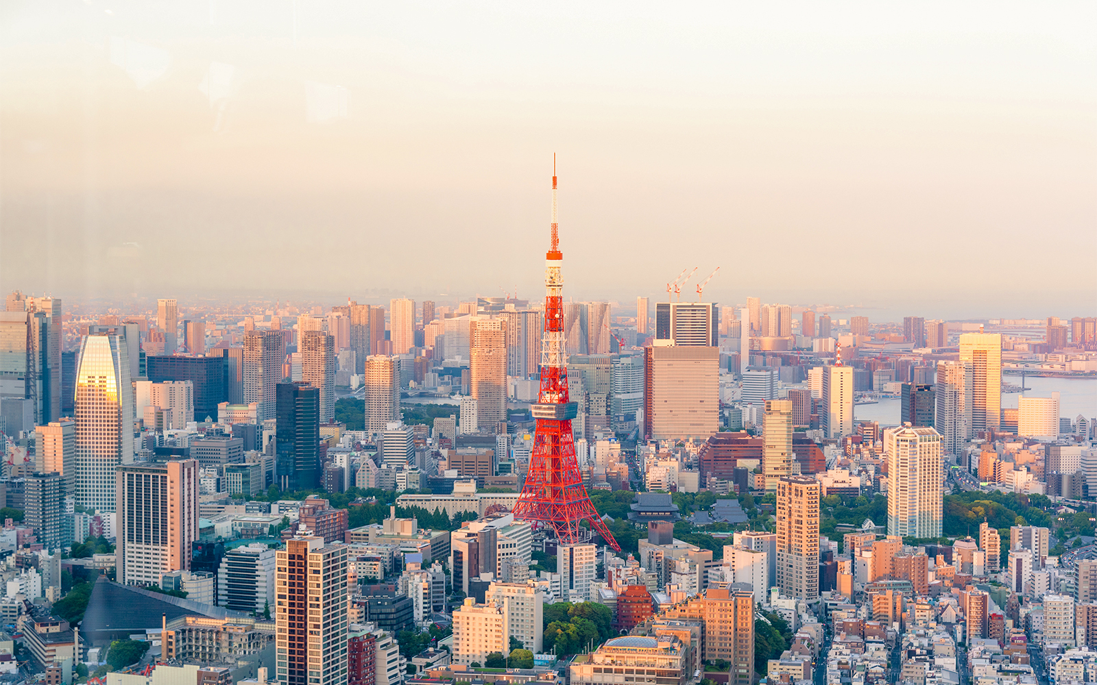 Shibuya Sky - Plan Your Visit to Shibuya Sky Tower