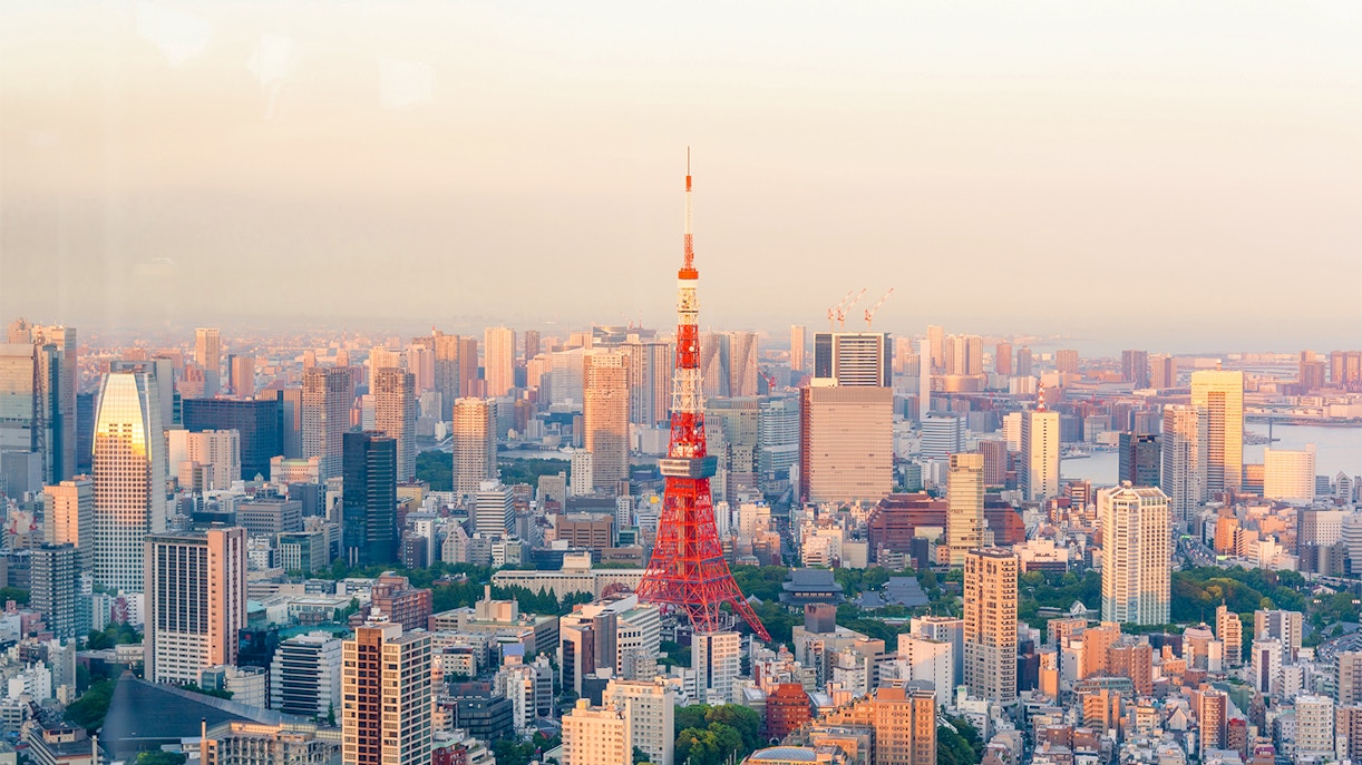 Shibuya Sky - Plan Your Visit to Shibuya Sky Tower