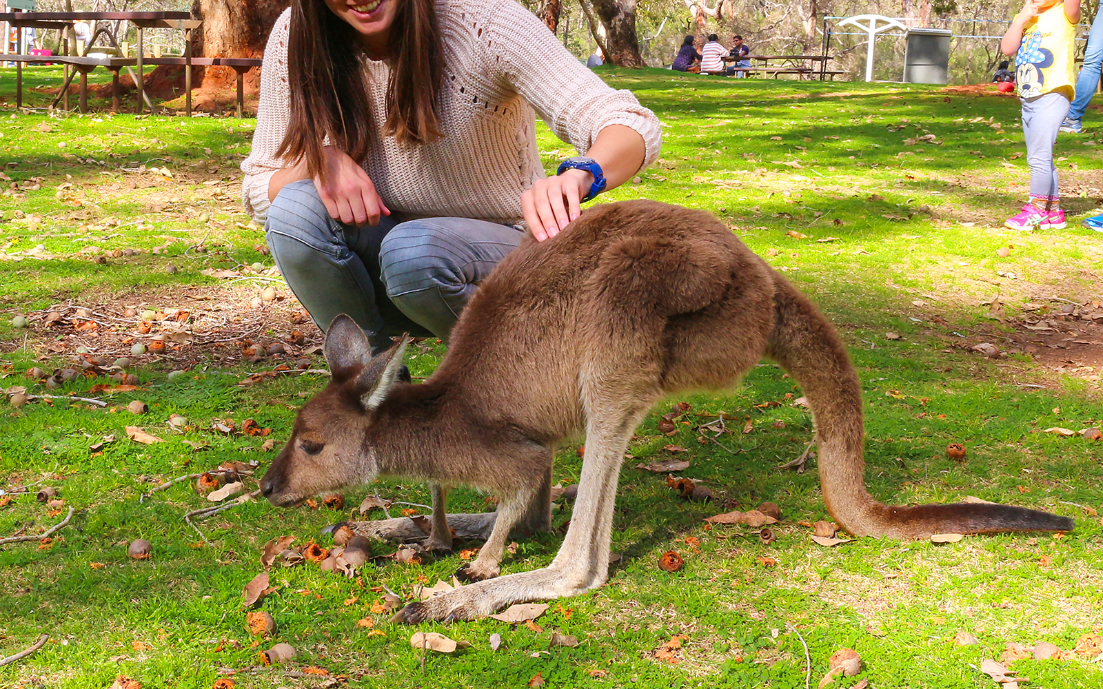 Kangaroo interacting with a lady at Great Ocean Road Wildlife Park.
