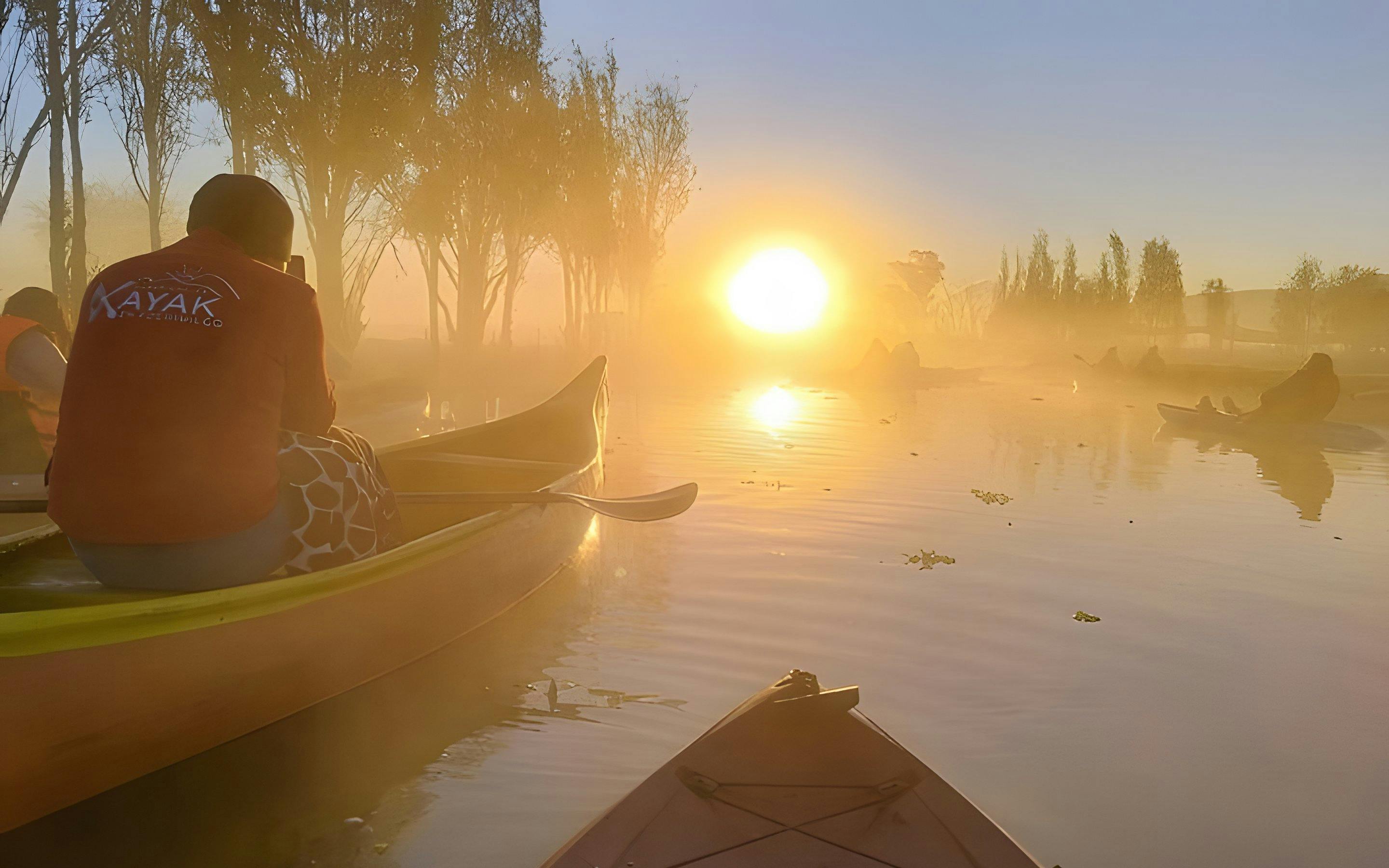 Kayaking at sunrise in Xochimilco canals with mist and trees in the background.