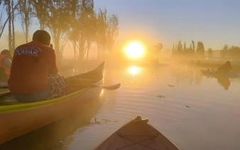 Kayaking at sunrise in Xochimilco canals with mist and trees in the background.